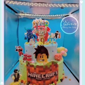 A216 - MineCraft Mix 主題造型✨